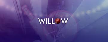 willow tv
